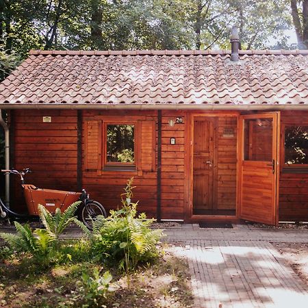 Sfeervolle Blokhut Met Fijne Buitenruimte @ Veluwe Epe Bagian luar foto