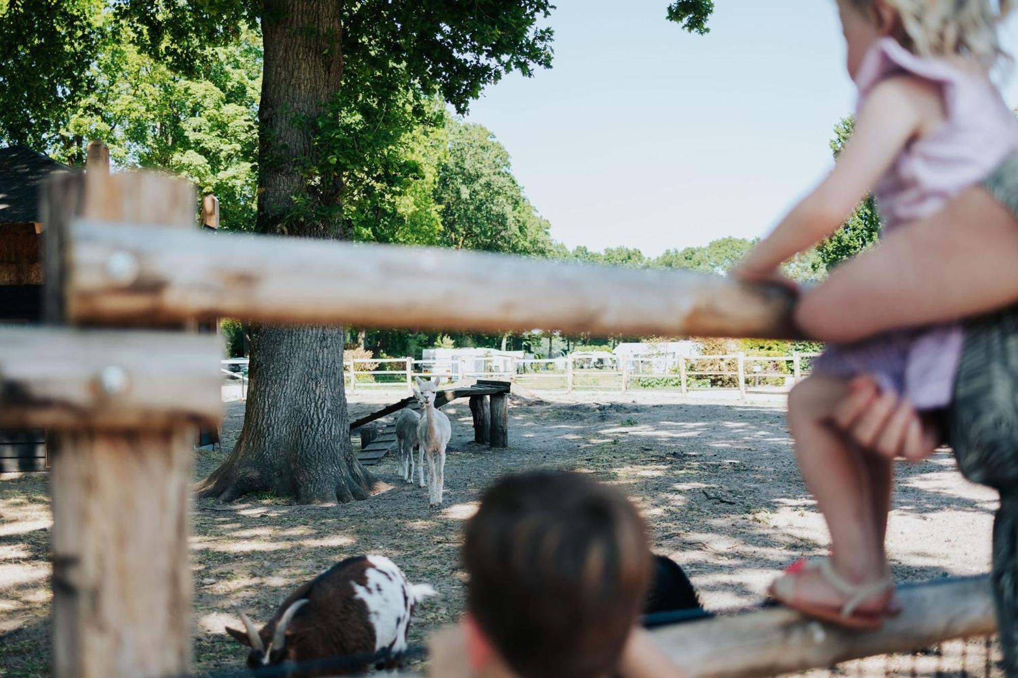 Sfeervolle Blokhut Met Fijne Buitenruimte @ Veluwe Epe Bagian luar foto